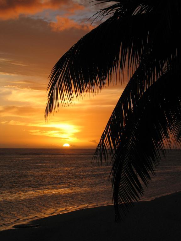 Motu Beachfront Art Villas Rarotonga Cameră foto